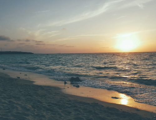 What is the lifestyle like in Playa Dorada: nature, beach, and comfort